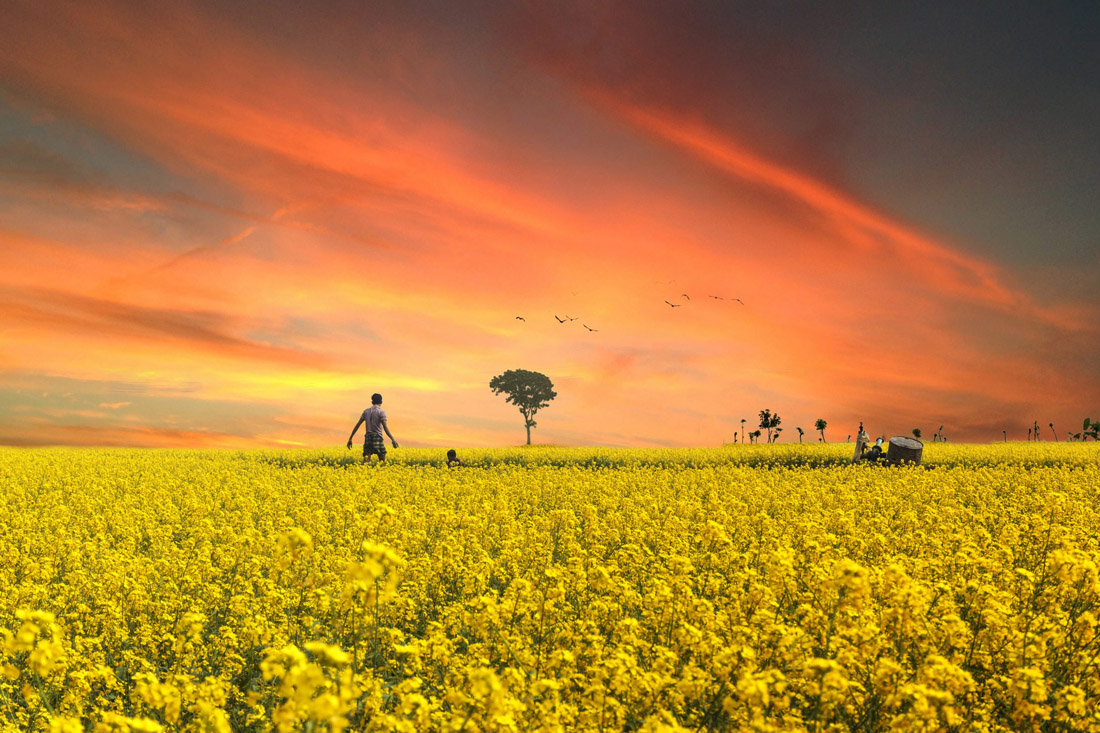 Bangladesh