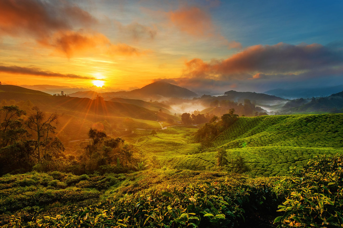 Cameroon