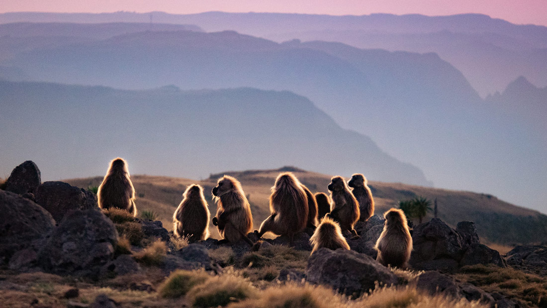 Ethiopia