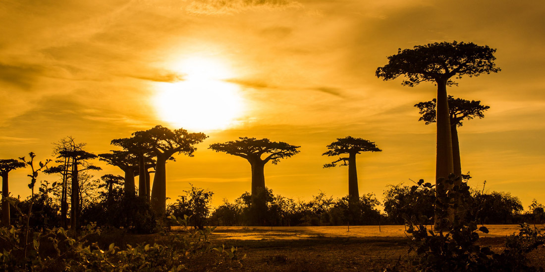 Madagascar