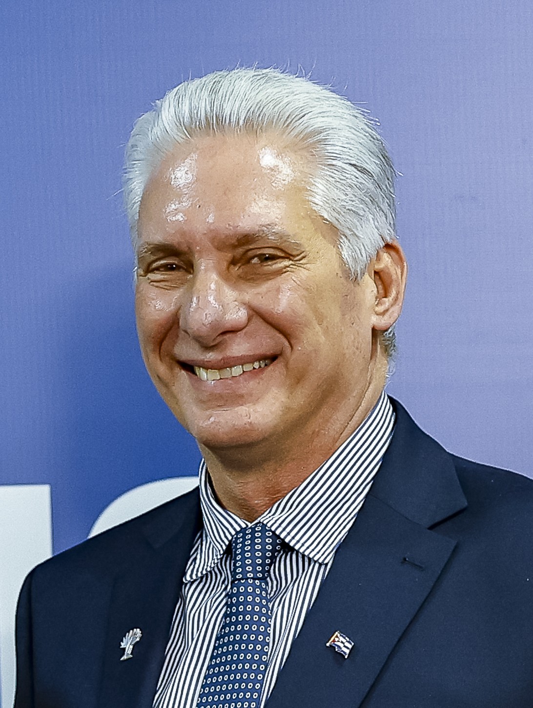 Miguel Díaz-Canel, President of Cuba